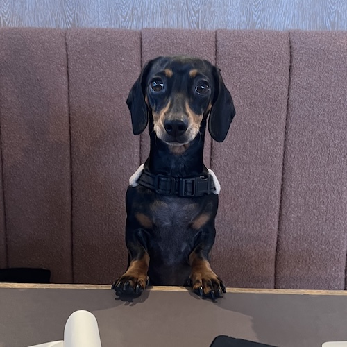 Penny
